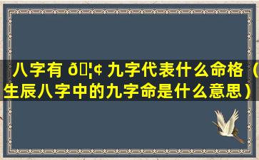 八字有 🦢 九字代表什么命格（生辰八字中的九字命是什么意思）